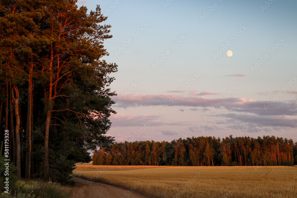 Krajobraz księżycowy