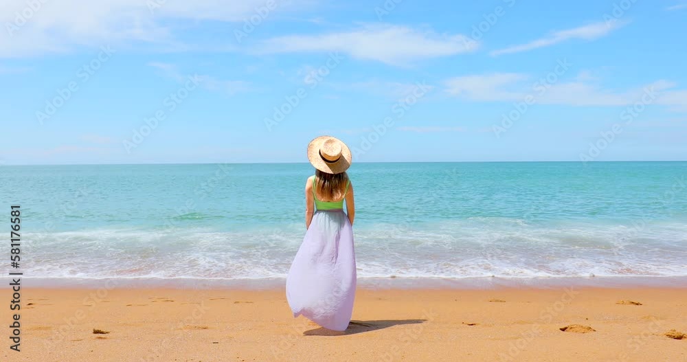 Attractive woman in straw hat and waving skirt standing on sandy beach, enjoy turquoise ocean and sunny skies on tropical vacation, exotic location. Back view. Attractive woman in straw hat and waving skirt standing on sandy beach, enjoy turquoise ocean and sunny skies on tropical vacation, exotic location. Back view.