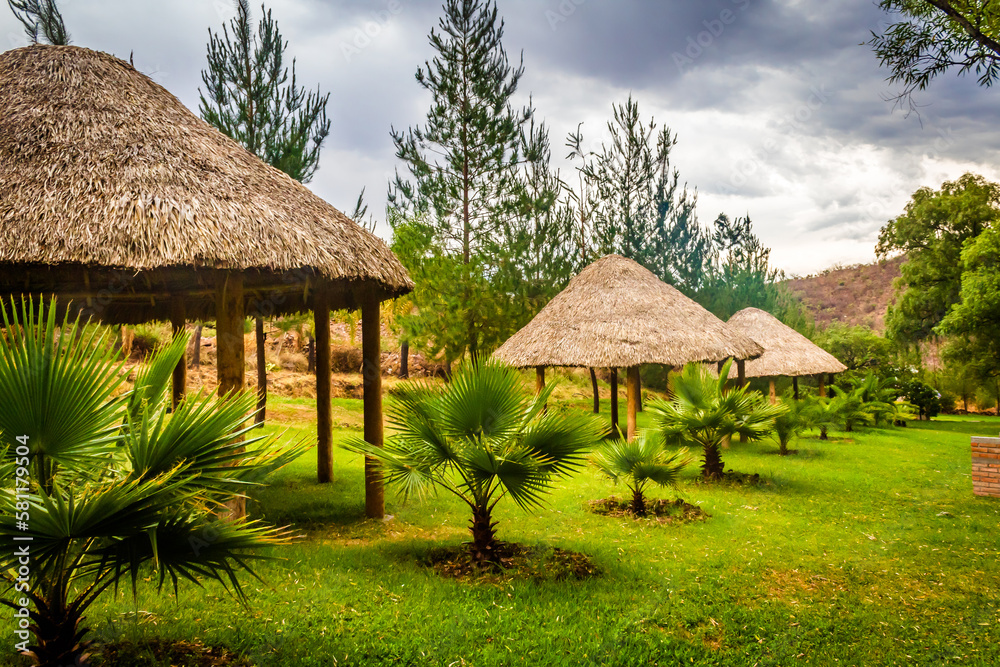 rustic umbrellas in green garden in middle of the forest, san pablo pastoria in monte escobedo zacatecas rustic umbrellas in green garden in middle of the forest, san pablo pastoria in monte escobedo zacatecas