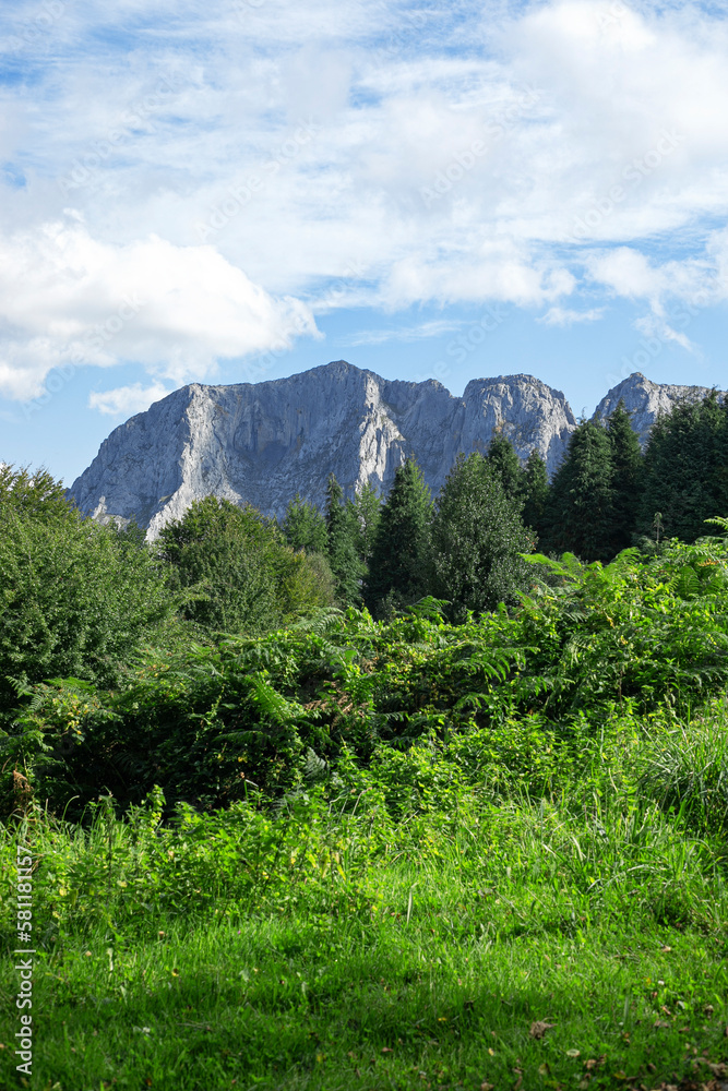 custom made wallpaper toronto digitalPeak Anboto view in sunny day.
