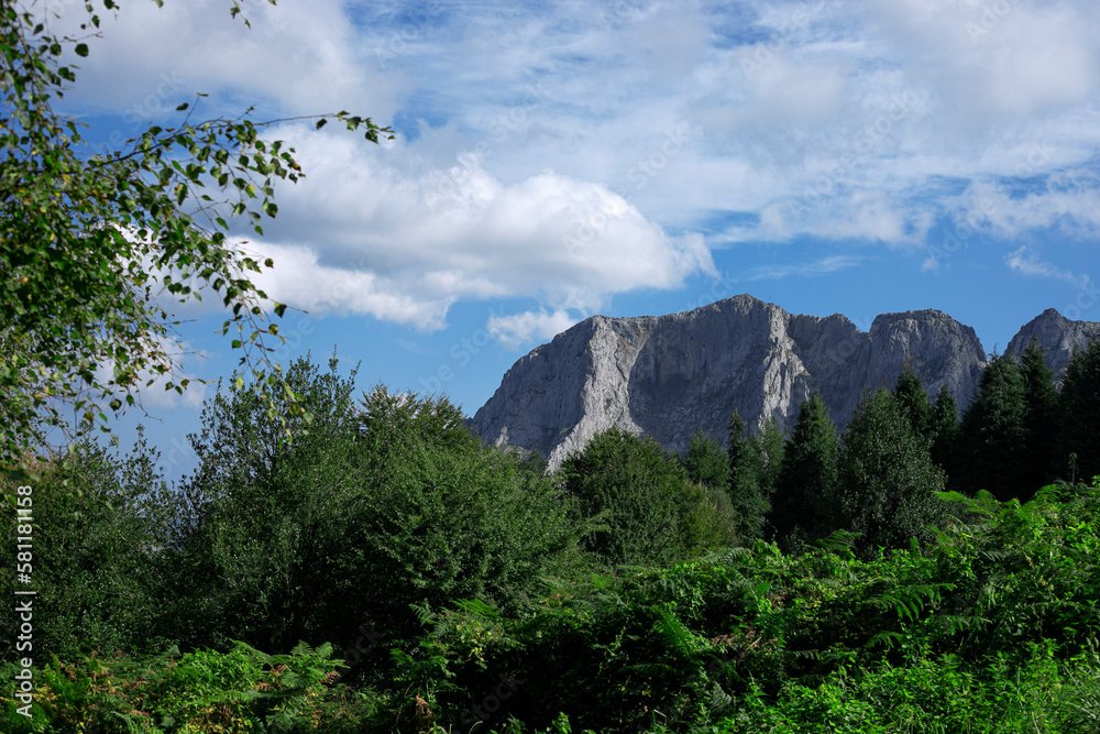 custom made wallpaper toronto digitalPeak Anboto view.