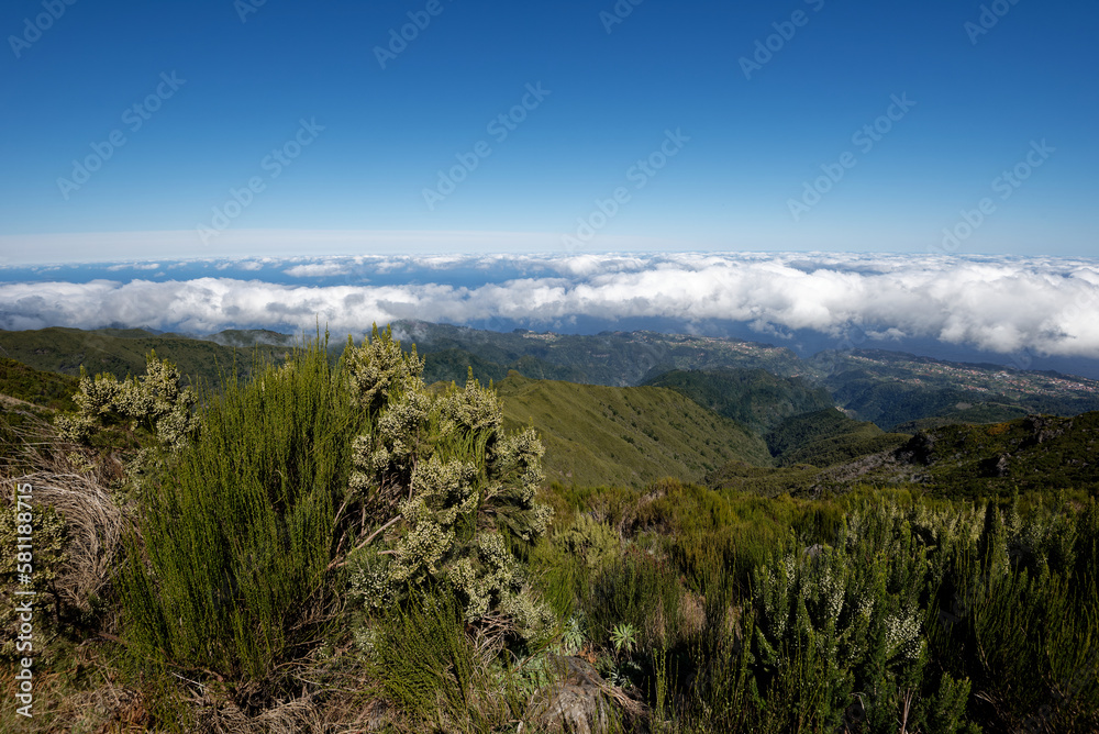 Portugal - Madeira - Pico Ruivo - Zustieg