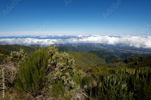Portugal - Madeira - Pico Ruivo - Zustieg