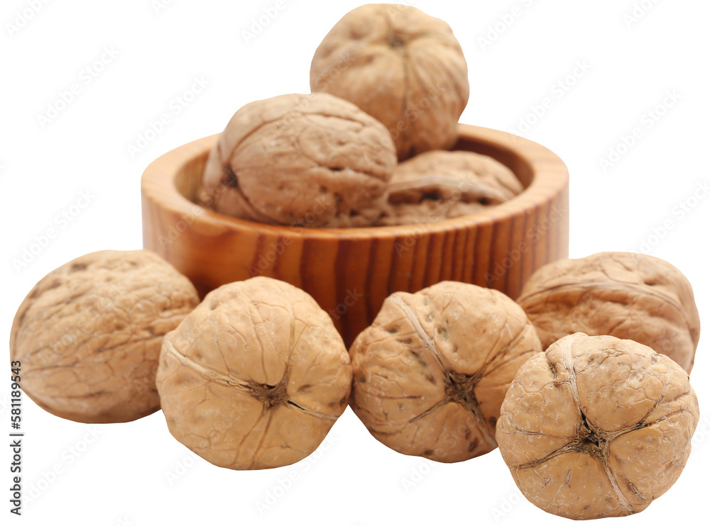 Walnut