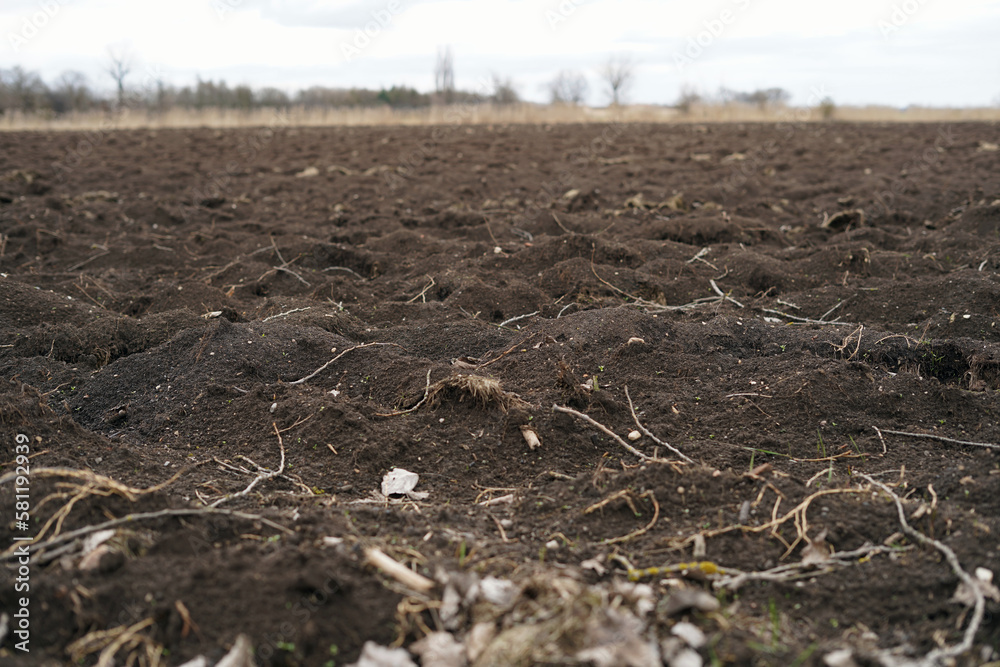Fototapeta premium Clay in the field. the soil is loosened and ready for sowing.