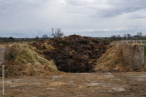 A big pile of manure.