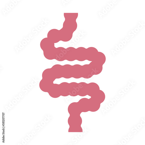 intestine simple icon