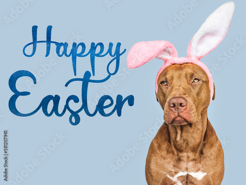 Happy Easter. Lovable, pretty puppy and congratulatory message. Close-up, studio shot, indoor. Day light. Congratulations for family, loved ones, relatives, friends and colleagues. Pet care concept