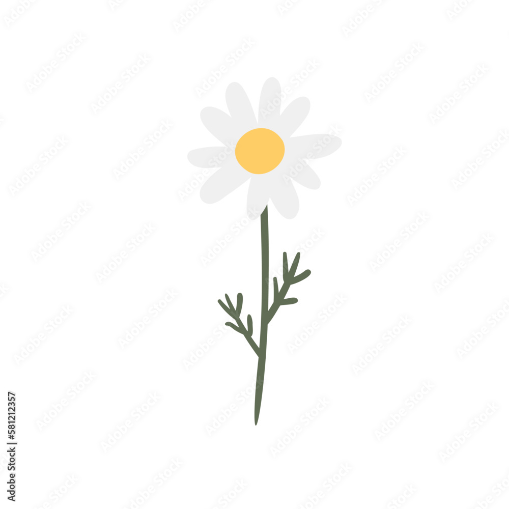 Fototapeta premium wildflower illustration clipart, vector cottagecore clip art, images in flat cartoon style, daisy, columbine, cosmos, forget me not, lupine, phlox