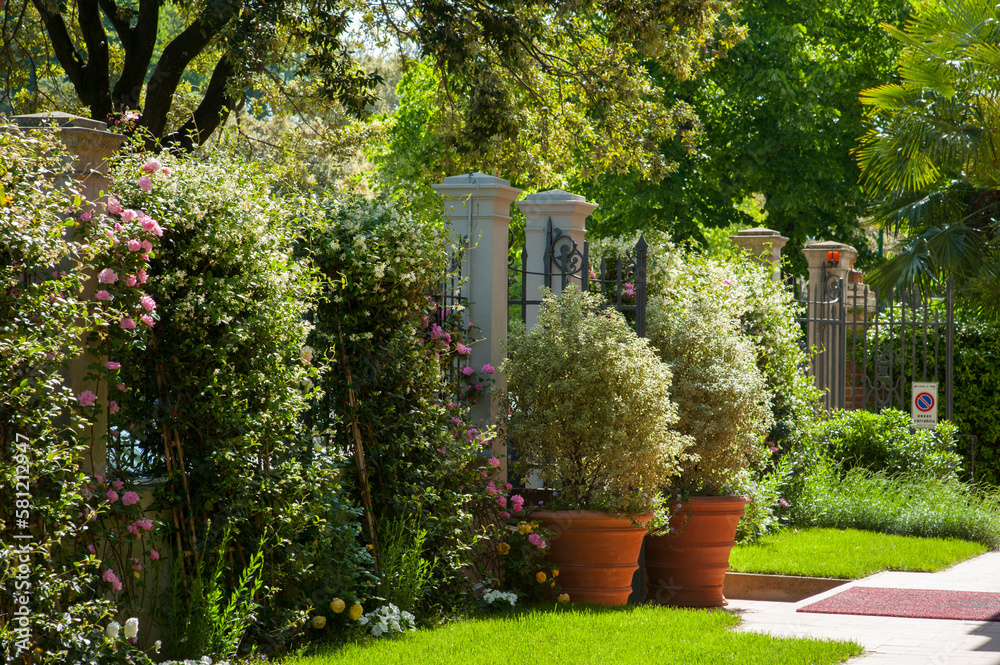 Fototapeta premium giardino