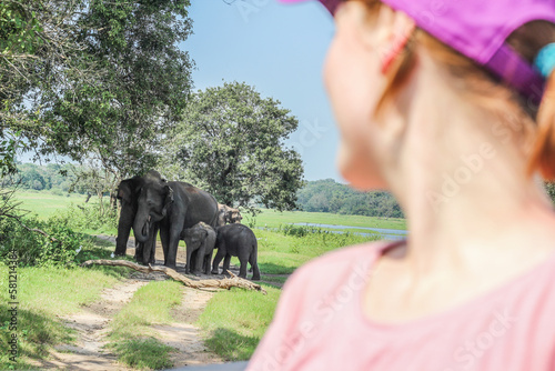 Photography elephants in the nature tourist safari