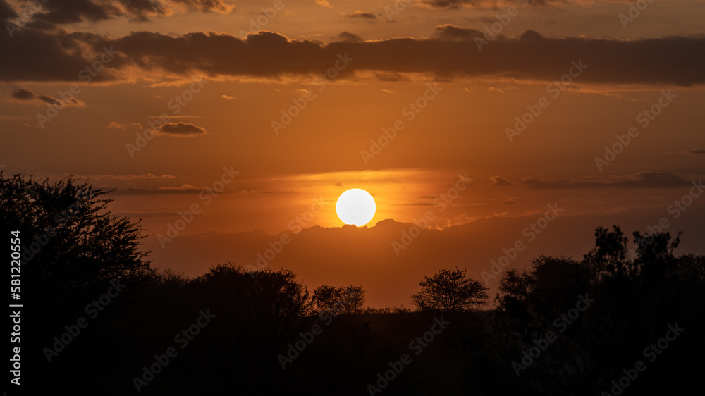 Sunset on the plain of the Serengeti savannah with the silhouette of the baobabs