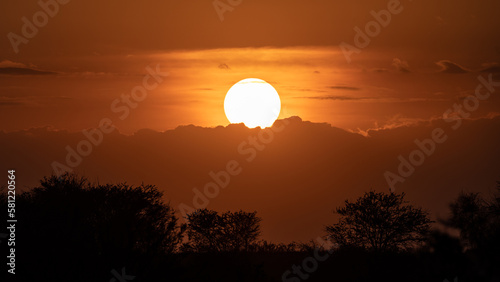 Sunset on the plain of the Serengeti savannah with the silhouette of the baobabs photo