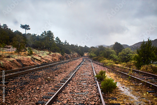 rail train tracks on rainny day with forest around in areponamichic chihuahua  © Alex Borderline
