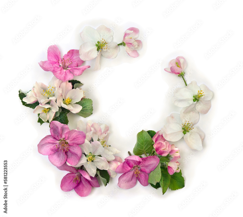 Wreath of pink white flowers apple tree on a white background with space for text. Top view, flat lay