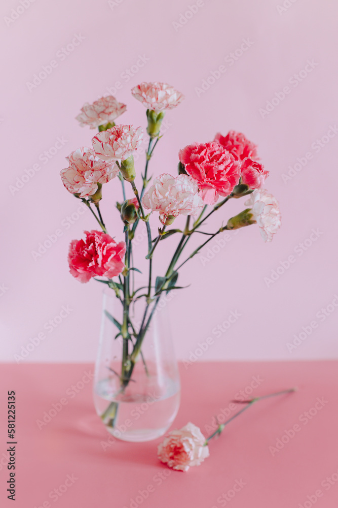 Beautiful pink Carnation flowers in a vase on a pink pastel background.