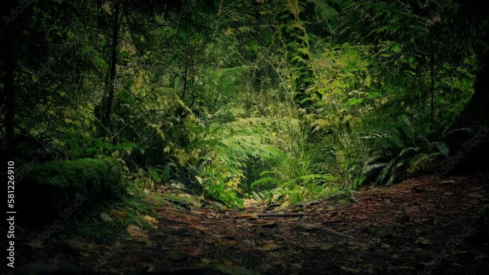 Moving Forwards Into The Deep Woods Moving Forwards Into The Deep Woods