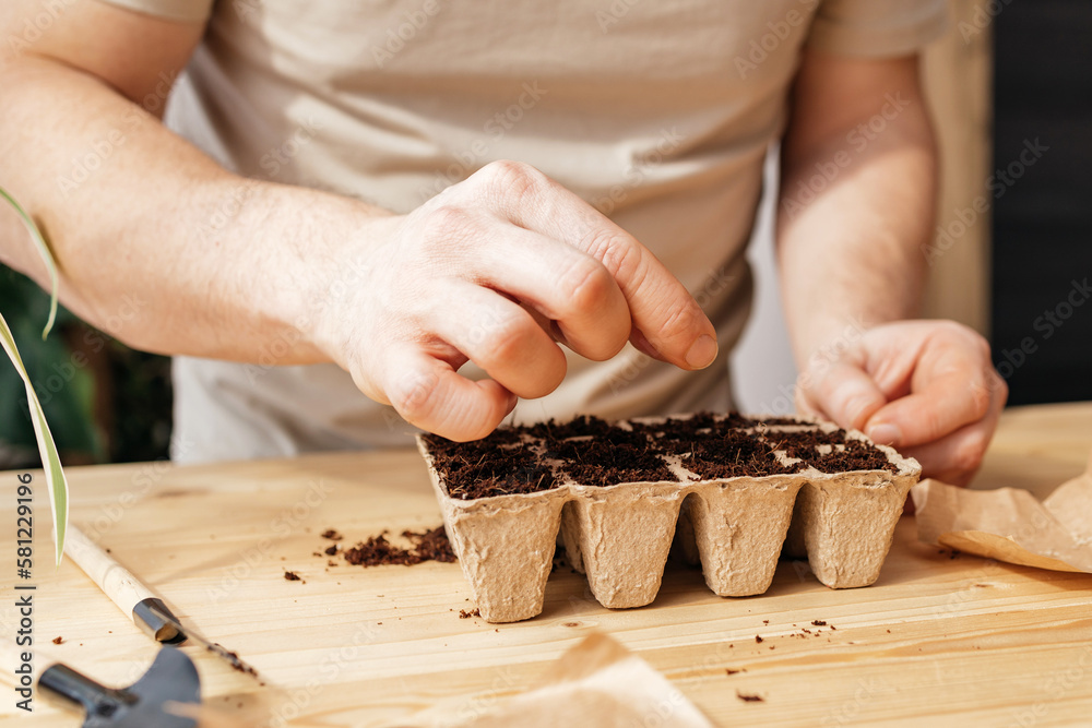 Man planting tomato seeds for seedlings at home. The man's hands put the seed into a hole in the ground. Gardening in the apartment Man planting tomato seeds for seedlings at home. The man's hands put the seed into a hole in the ground. Gardening in the apartment