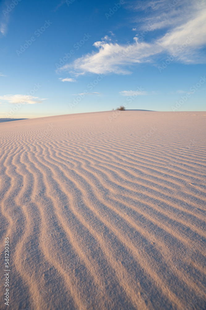 Sand dunes during golden hour at White Sands National Park in New Mexico, USA landscape Sand dunes during golden hour at White Sands National Park in New Mexico, USA landscape