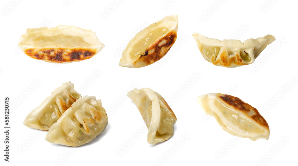 Gyoza Chinese Dumplings Isolated, Fried Vegetable Jiaozi, Chicken Momo Set, Asian Gyoza Collection Gyoza Chinese Dumplings Isolated, Fried Vegetable Jiaozi, Chicken Momo Set, Asian Gyoza Collection