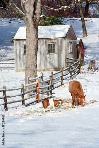 Brown and white goat and brown horse in snow, with fence and barn behind