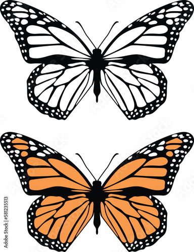 A Monarch butterfly vector illustration in color and silhouette.