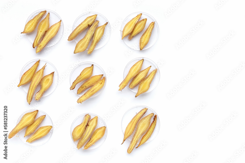 fingerroot on a white background. fingerroot on a white background.