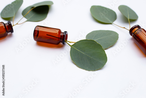 Green leaves of eucalyptus with essential bottles on white