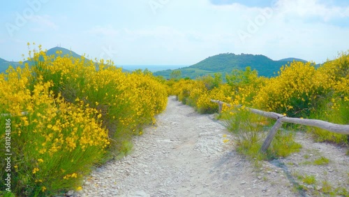 Panoramic path with a beautiful view of the Euganean hills photo