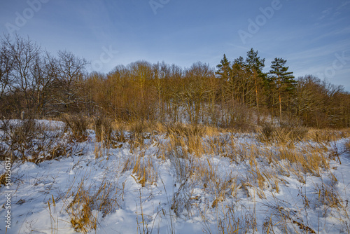 winter landscape in the countryside