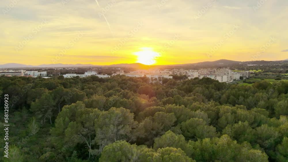 Flying through the forest, sunset in the background, drone footage of Cala Millor Flying through the forest, sunset in the background, drone footage of Cala Millor