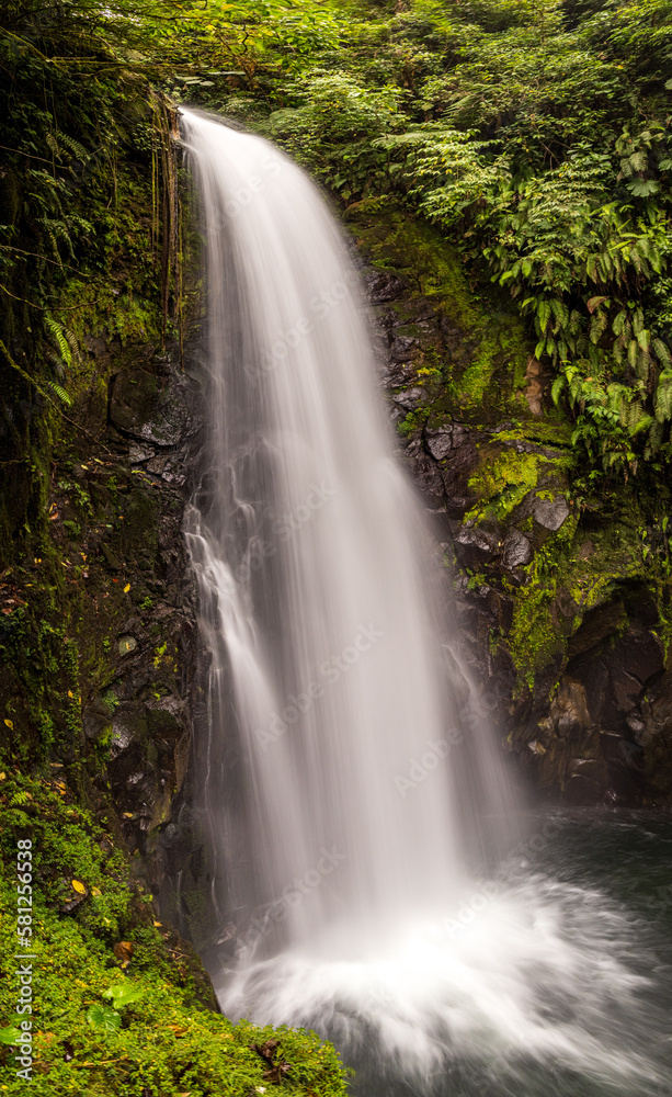 A powerful waterfall cascades down a green foliage covered cliffside