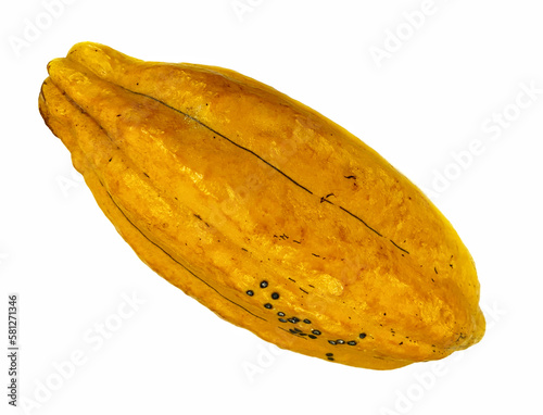cocoa fruit on a white background
