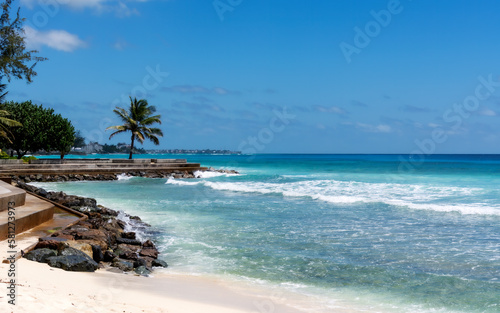 beach with palm trees on Barbados