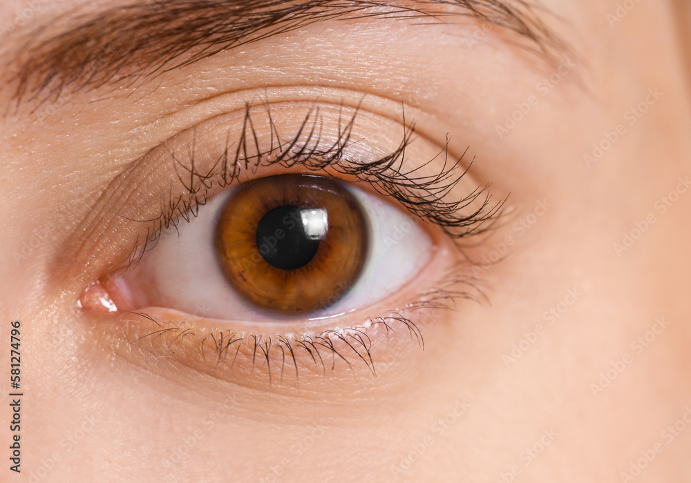 Young woman with brown eyes, close up Young woman with brown eyes, close up