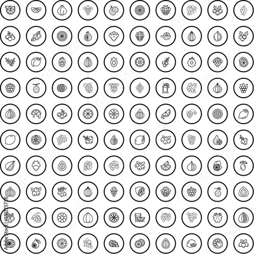 100 fruit icons set. Outline illustration of 100 fruit icons vector set isolated on white background