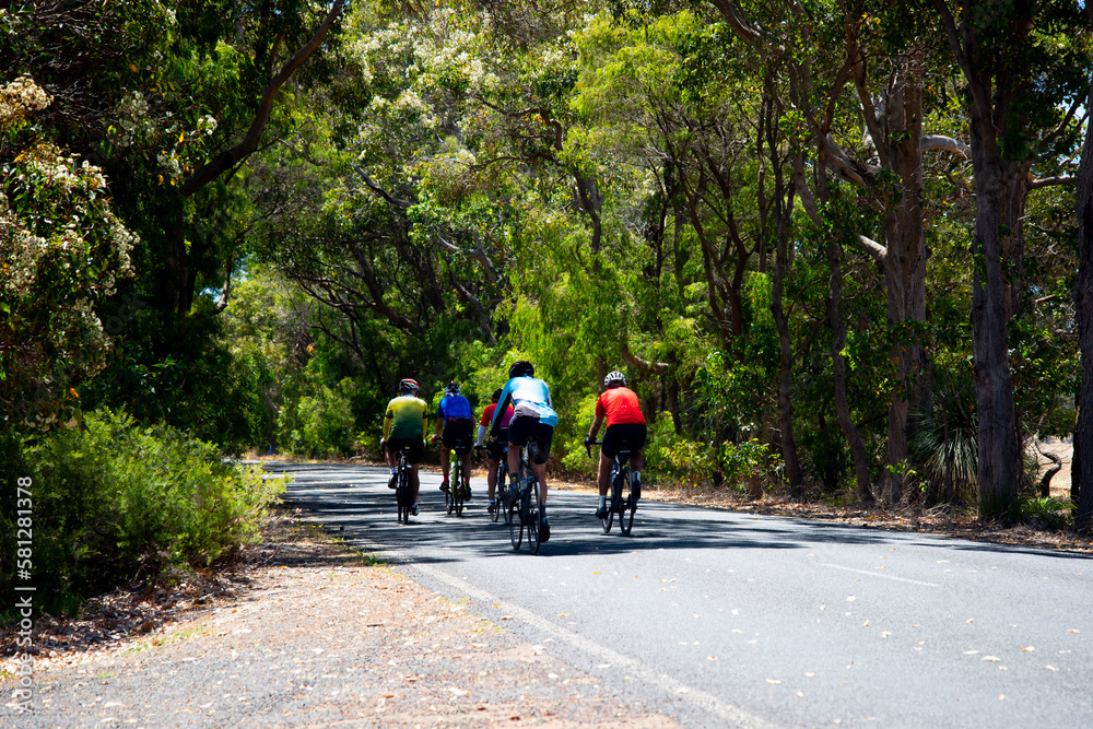 Cyclists on the Road in the Forest Cyclists on the Road in the Forest
