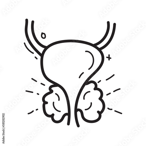 doodle prostate icon outline vector