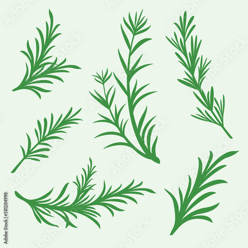 background with green rosemary