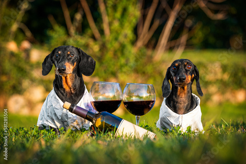 Canvas Print Romantic date wine in park on lawn grass wine glasses