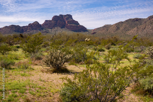 Arizona Red Mountain Landscapes, America, USA.