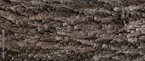 Enlarged and detailed horizontal texture photo background of reddish dark brown pine tree bark with splitted and cracked surface