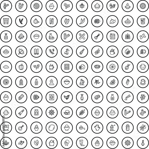100 spice icons set. Outline illustration of 100 spice icons vector set isolated on white background