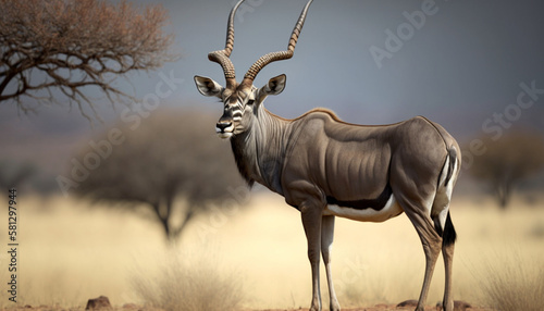 antelope kudu savanna