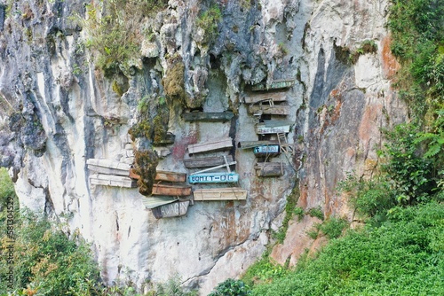 The hanging coffins of Sagada on an imposing white rock wall surrounded by bushes.