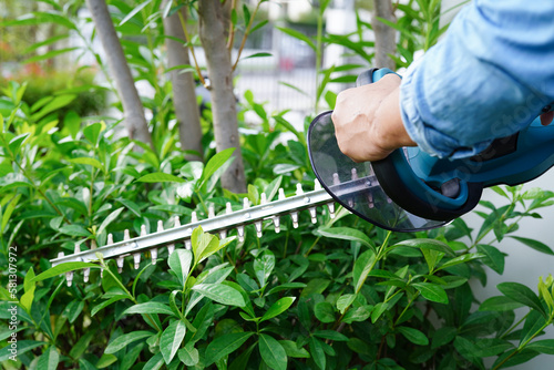Gardener trimming bush by electric hedge clippers in garden. Hobby at home.