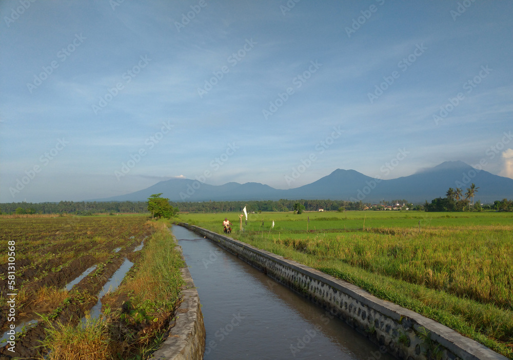 The view of mountains, rice field, trees and blue sky in asia. Nature background.
