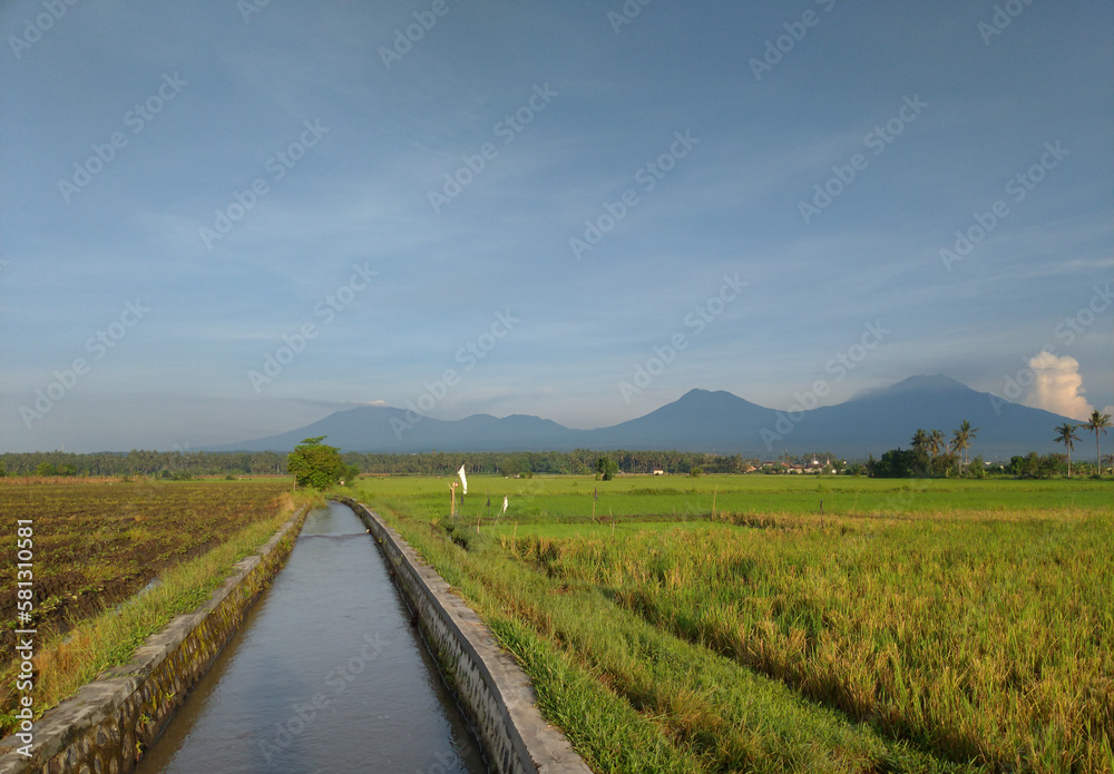 The view of mountains, rice field, trees and blue sky in asia. Nature background.
