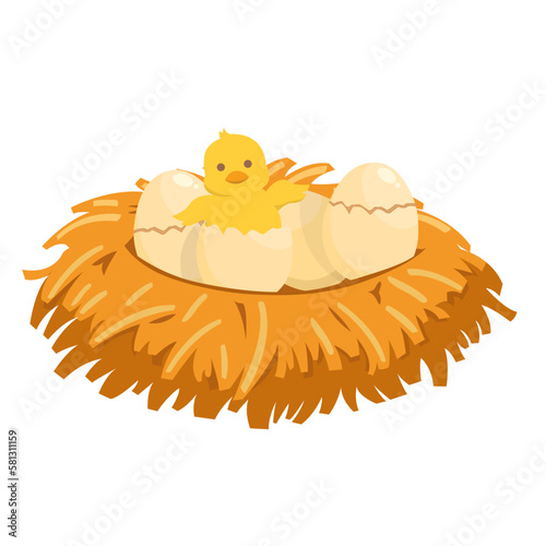 one baby yellow chick hatched in a nest along with unhatched eggs