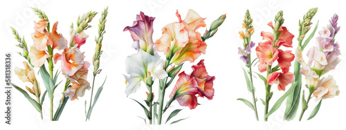 Watercolor Gladiolus Flowers. Generative AI